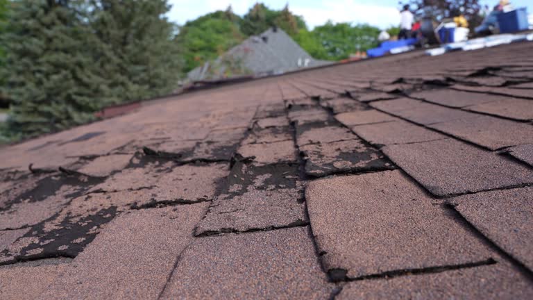 Best Roof Insulation Installation  in Shasta, CA