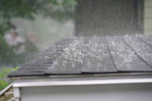 Best Skylight Installation and Repair  in Shasta, CA