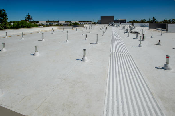 Best Roof Insulation Installation  in Shasta, CA